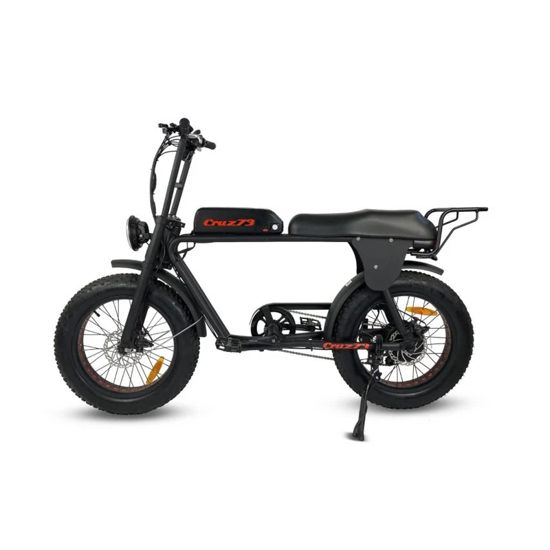 Cruz 73 Retro E-Bike