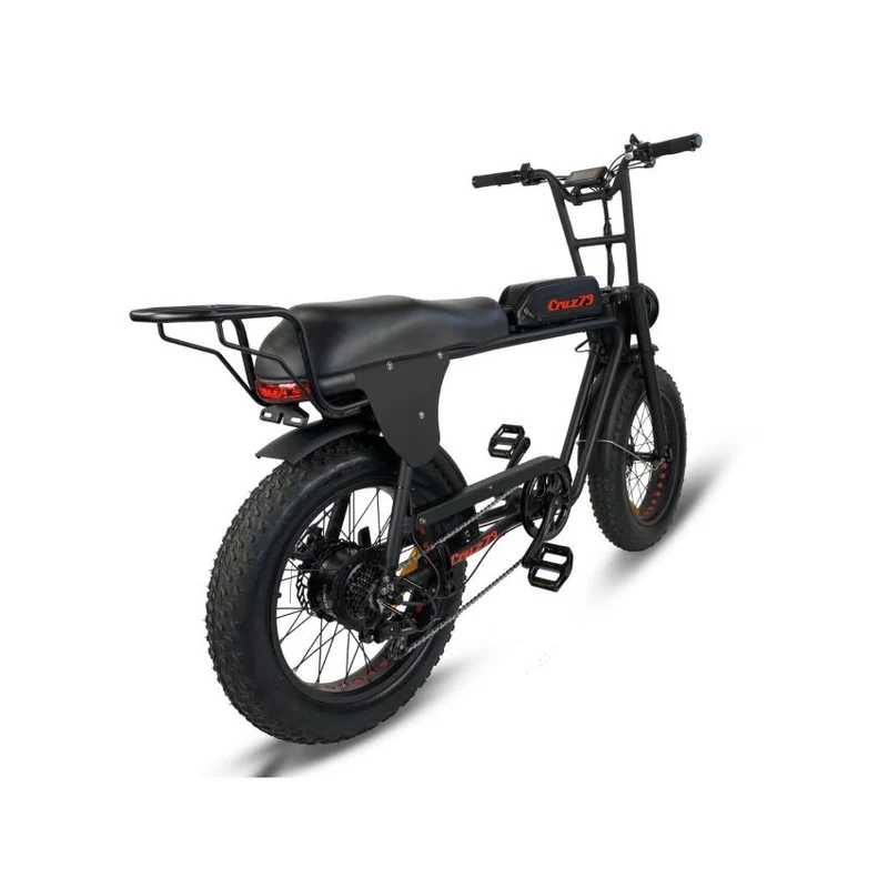 Cruz 73 Retro E-Bike