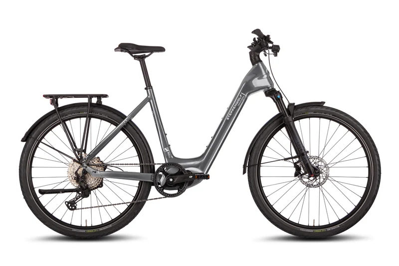 STEPPENWOLF Transterra Easy 9.1 | titanium grey glossy
