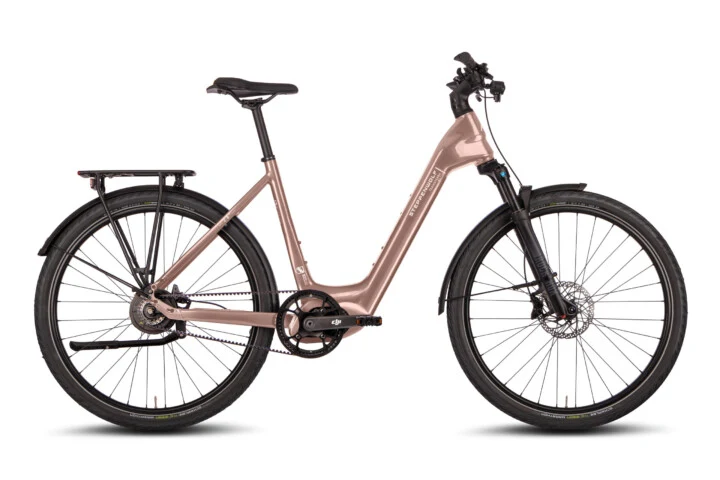 STEPPENWOLF Transterra Easy 9.0 | rose