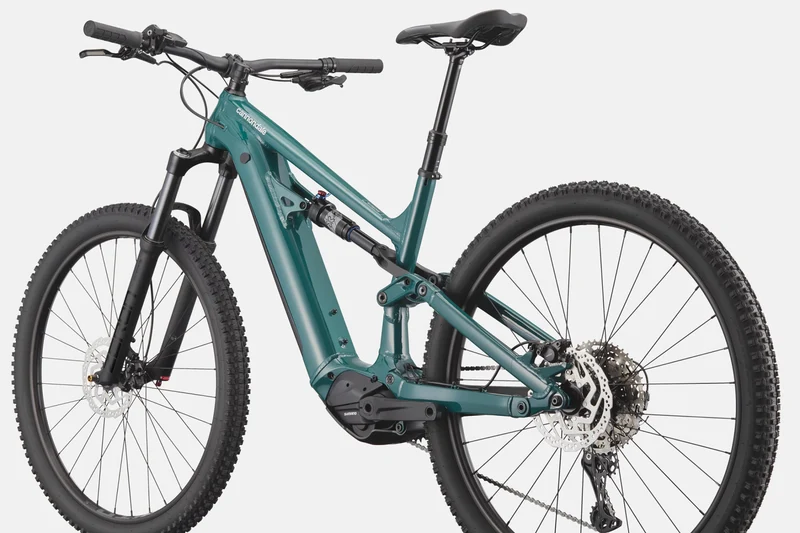 CANNONDALE Moterra Neo S3 | pine