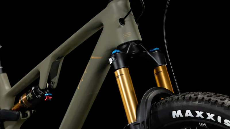 Cube AMS ONE11 C:68X TM 29 dustyolive´n´gold 2026