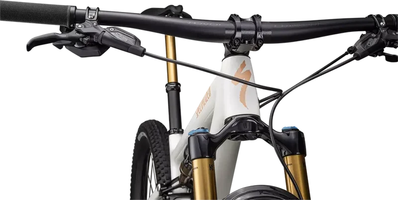 SPECIALIZED Epic Evo Pro | gloss birch/bronze pearl/pearl
