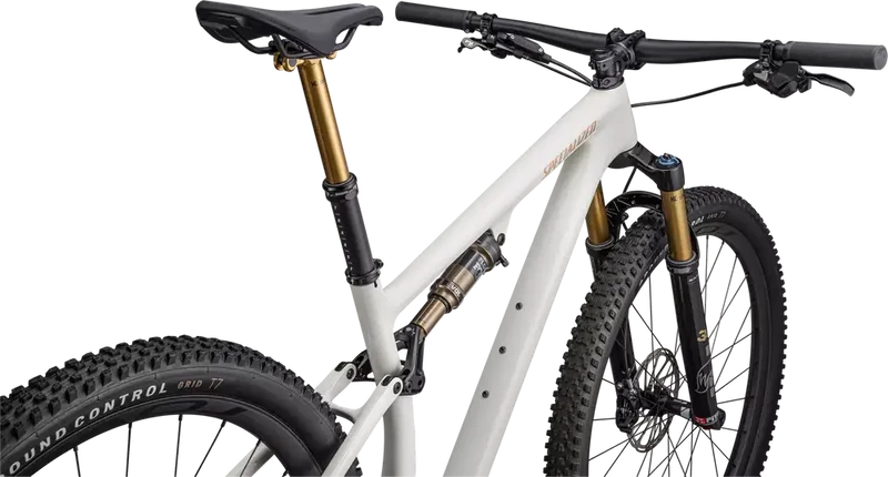 SPECIALIZED Epic Evo Pro | gloss birch/bronze pearl/pearl