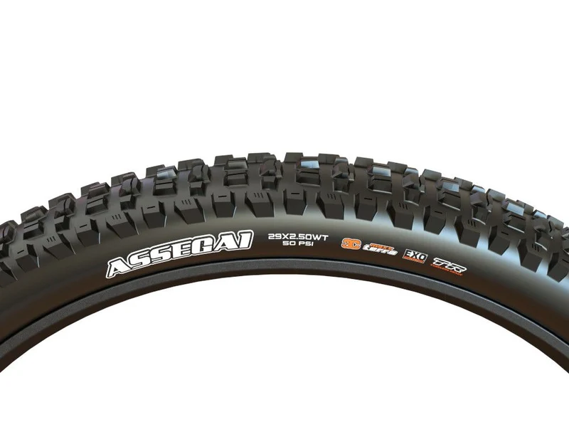 Maxxis Assegai EXO+