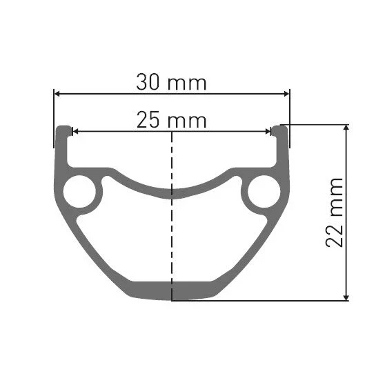 DT SWISS DT Swiss Laufrad HU 1900 Spline