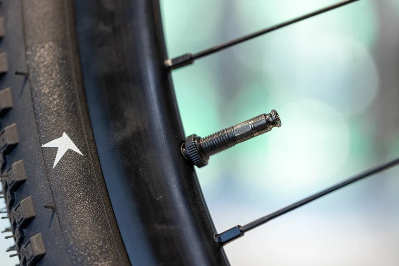 Schwalbe CLIK Valve Conversion Kit SV to SCV