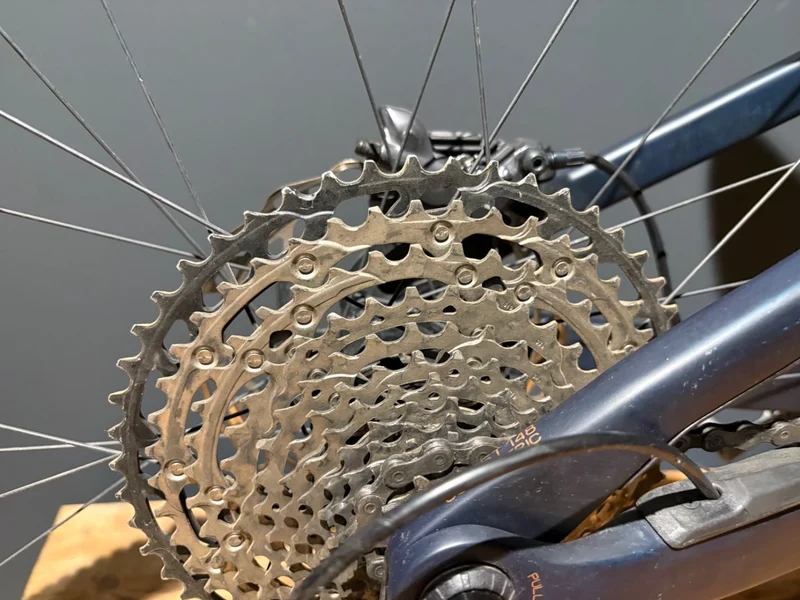 Orbea Rise M10 Coal Blue - Red Gold | Gebrauchtrad | M