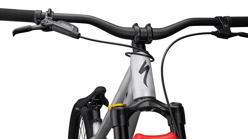 Specialized P.4 Aluminum/Black