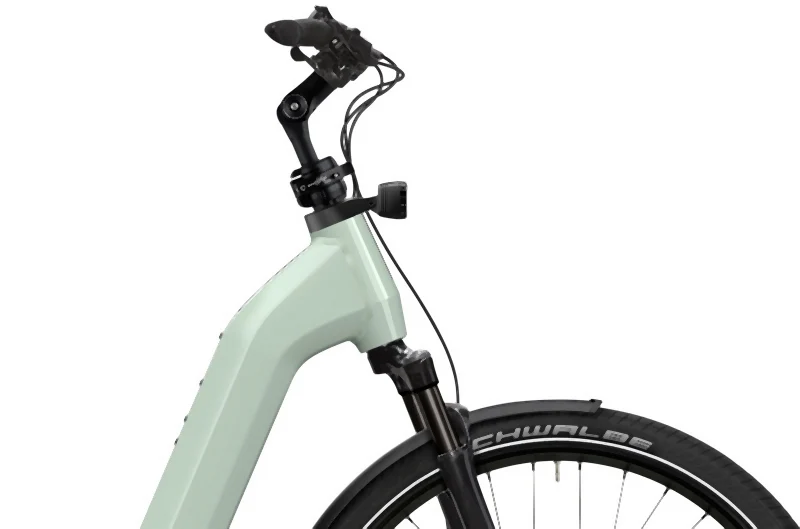 Flyer Gotour 5.43 Comfort Frosty Sage Gloss