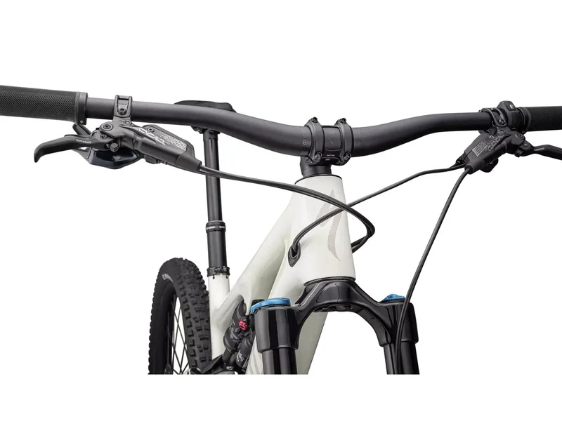 Specialized Levo SL Comp Carbon Birch/White Mountains