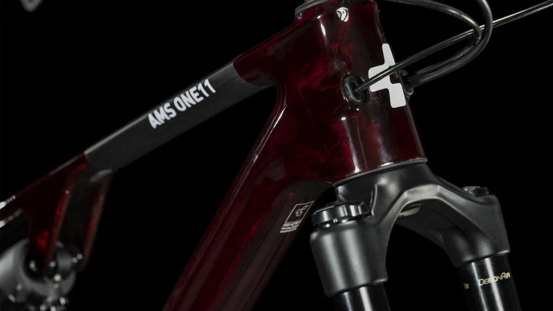 Cube AMS ONE11 C:68X Pro liquidred´n´carbon