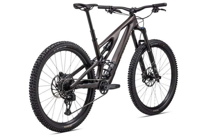 Specialized Stumpjumper Evo Comp doppio/sand