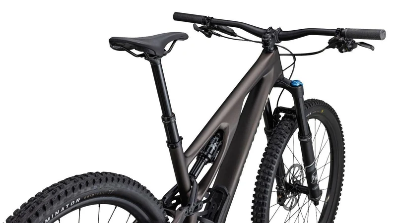 Specialized Stumpjumper Evo Comp doppio/sand