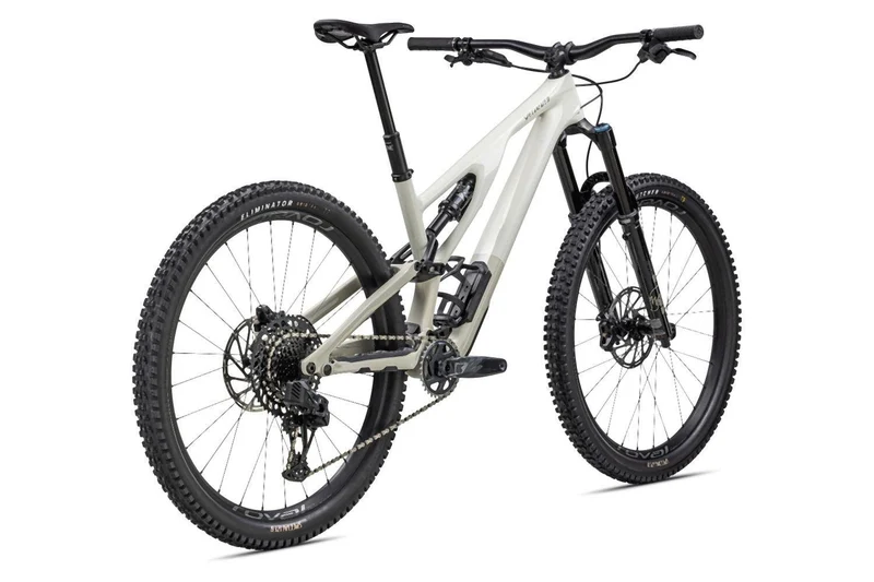 Specialized Stumpjumper Evo Expert birch/taupe