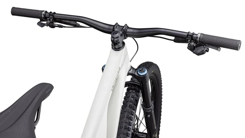 Specialized Stumpjumper Evo Expert birch/taupe
