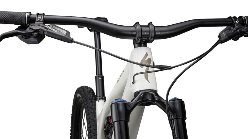 Specialized Stumpjumper Evo Expert birch/taupe