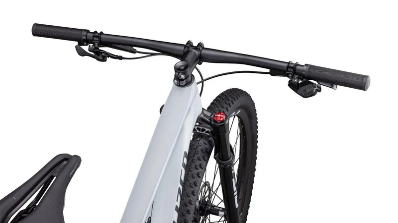 Specialized Epic Expert Mornmst/Metdknvy
