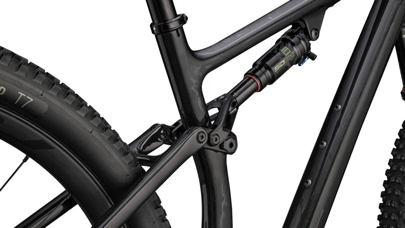 Specialized Epic Evo Expert Carbon/Gold Ghost Pearl