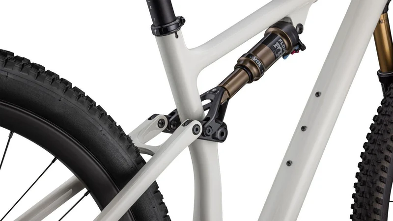 Specialized Epic Evo Pro Birch/Bronze/Pearl