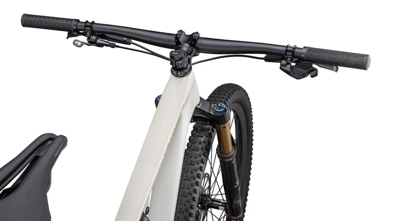Specialized Epic Evo Pro Birch/Bronze/Pearl
