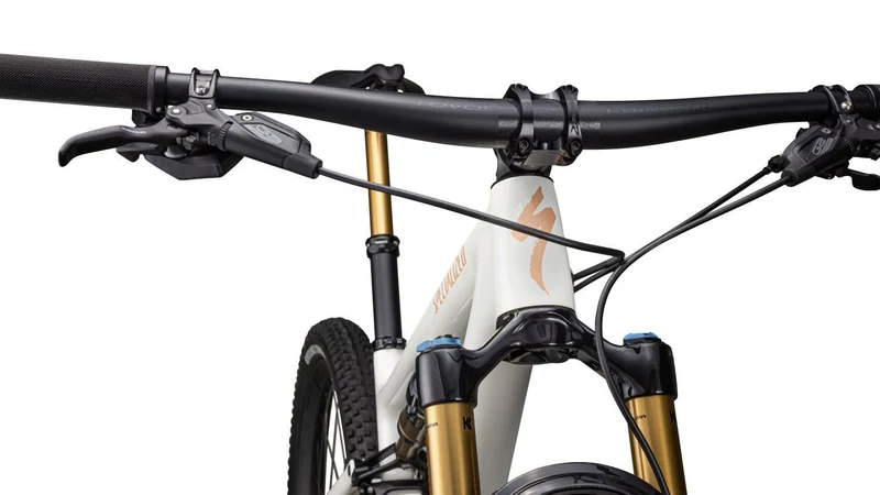 Specialized Epic Evo Pro Birch/Bronze/Pearl