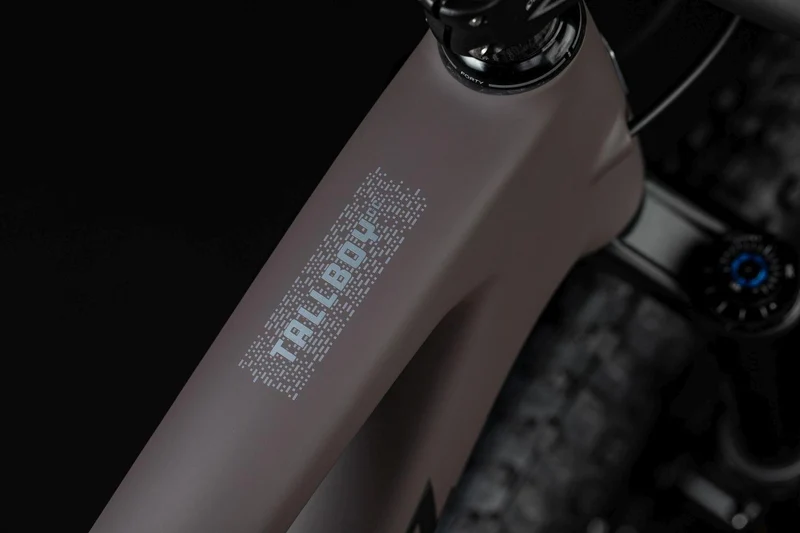 Santa Cruz Tallboy C | R | taupe