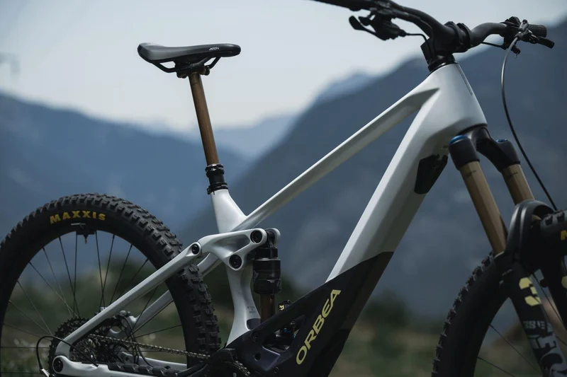 Orbea WILD M20 Halo Silver-Tanzanite Carbon View