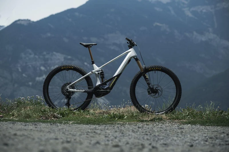 Orbea WILD M20 Halo Silver-Tanzanite Carbon View