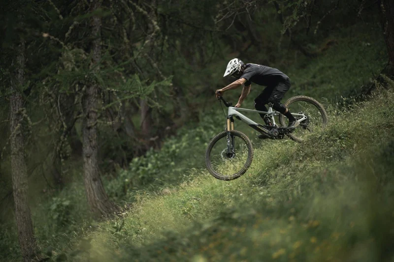 Orbea WILD M20 Halo Silver-Tanzanite Carbon View