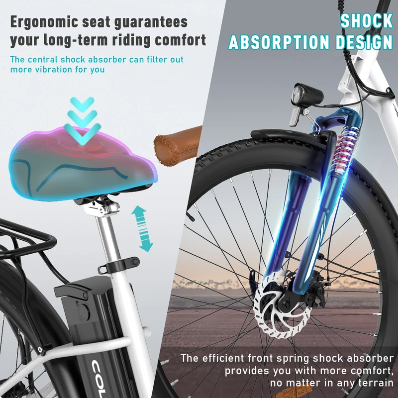 BK31 Ebike