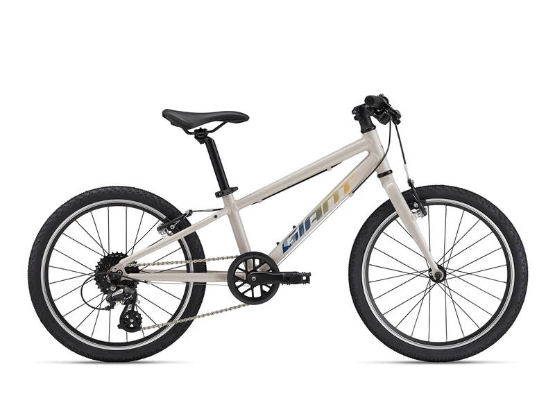 Giant ARX 20