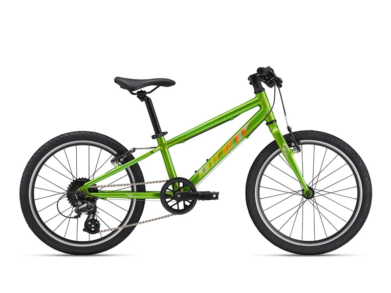 Giant ARX 20
