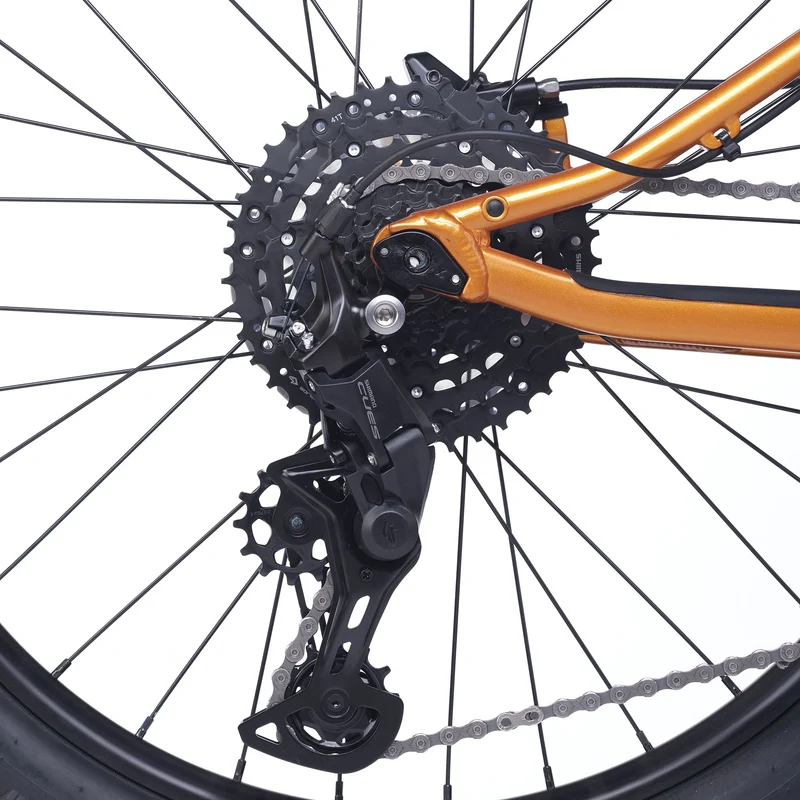 ACADEMY Trail 5 - 24 Zoll Jugendfahrrad