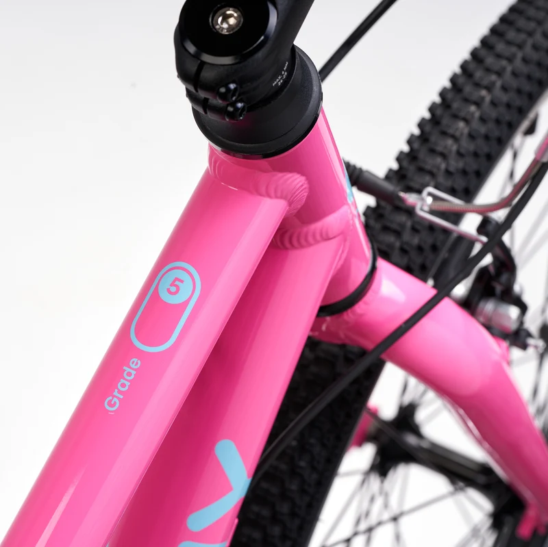 ACADEMY GRADE 5 belt - 24 Zoll Jugendfahrrad