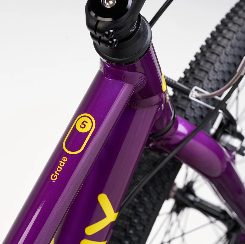 ACADEMY GRADE 5 belt - 24 Zoll Jugendfahrrad