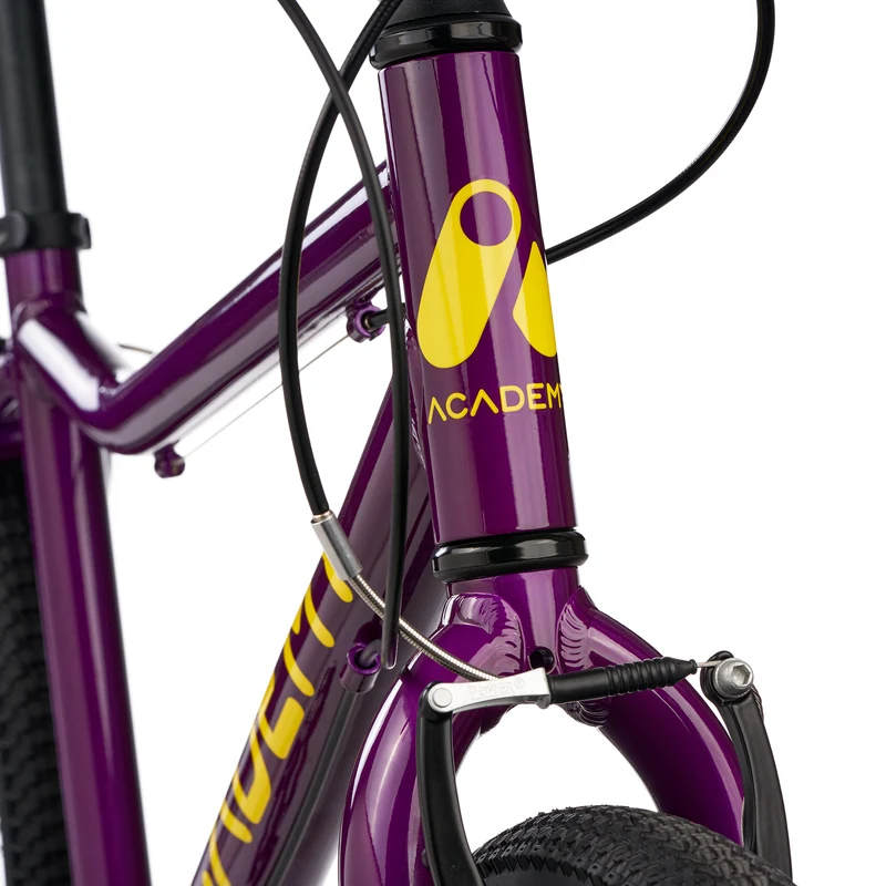 ACADEMY GRADE 5 belt - 24 Zoll Jugendfahrrad