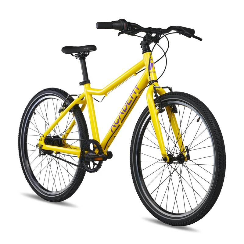 ACADEMY GRADE 5 belt - 24 Zoll Jugendfahrrad