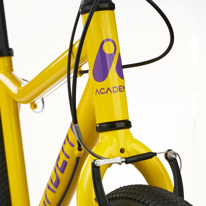 ACADEMY GRADE 5 belt - 24 Zoll Jugendfahrrad