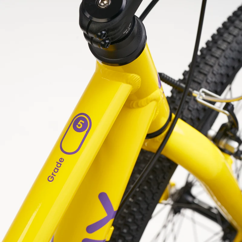 ACADEMY GRADE 5 belt - 24 Zoll Jugendfahrrad