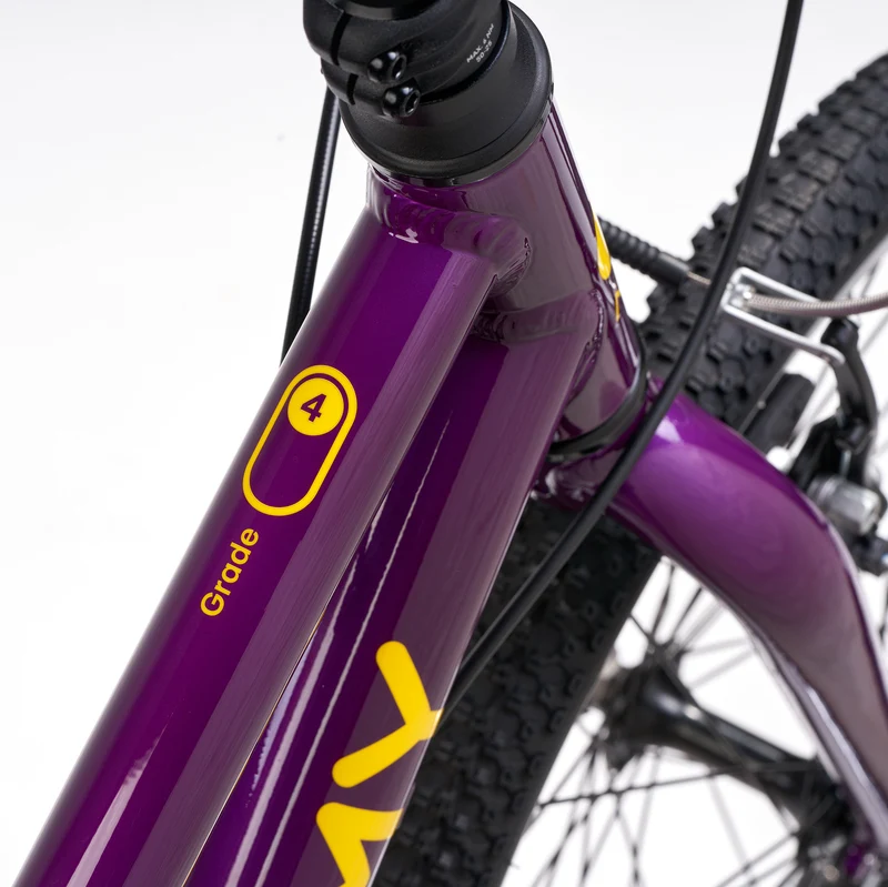 ACADEMY GRADE 4 belt - 20 Zoll Kinderfahrrad
