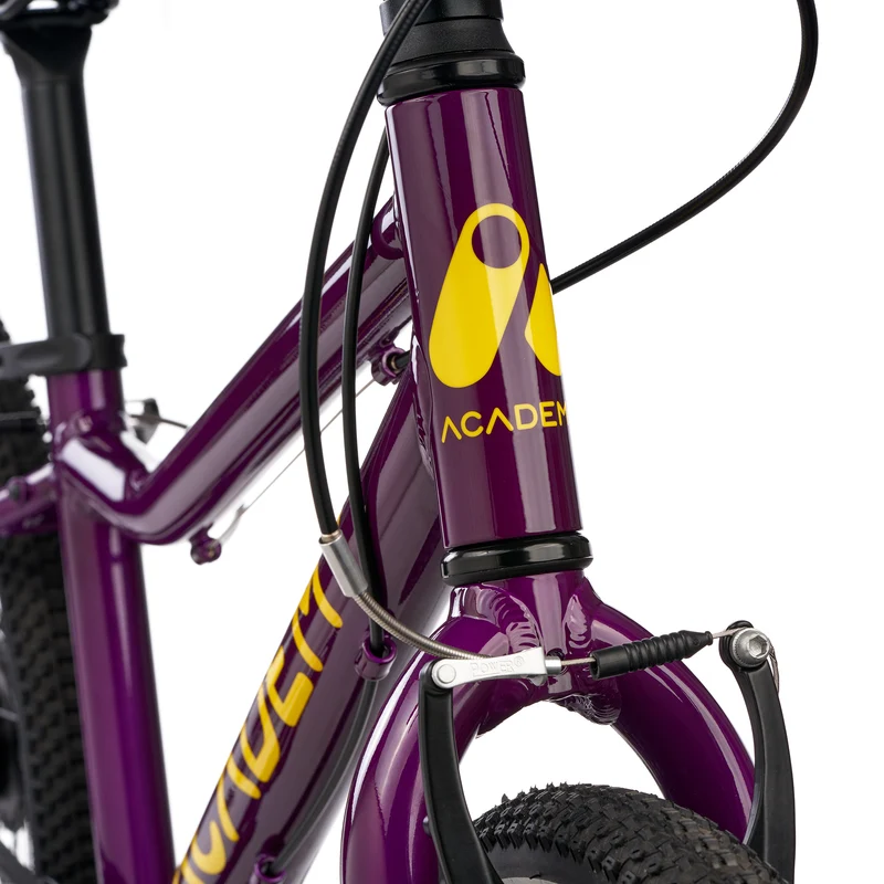 ACADEMY GRADE 4 belt - 20 Zoll Kinderfahrrad