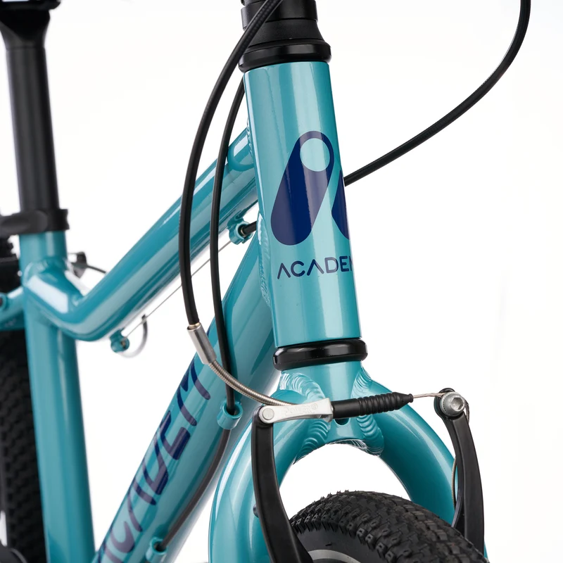 ACADEMY GRADE 4 belt - 20 Zoll Kinderfahrrad