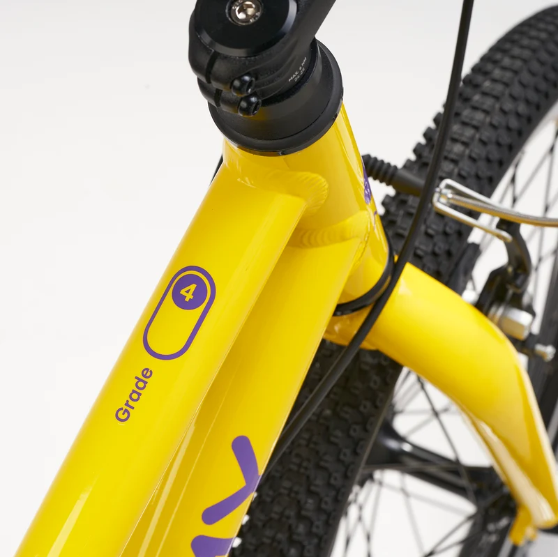 ACADEMY GRADE 4 belt - 20 Zoll Kinderfahrrad