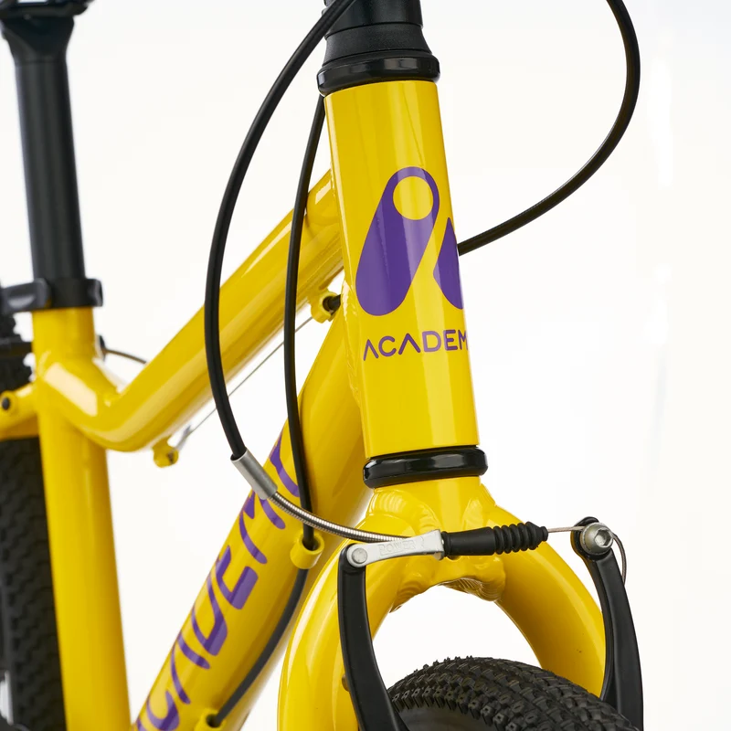 ACADEMY GRADE 4 belt - 20 Zoll Kinderfahrrad