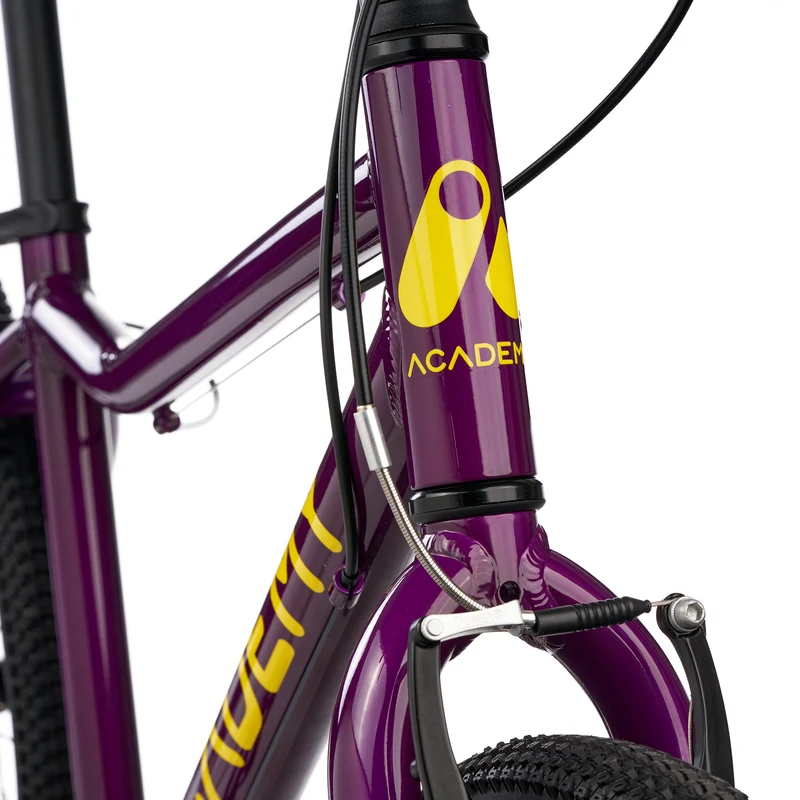 ACADEMY GRADE 5 - 24 Zoll Jugendfahrrad