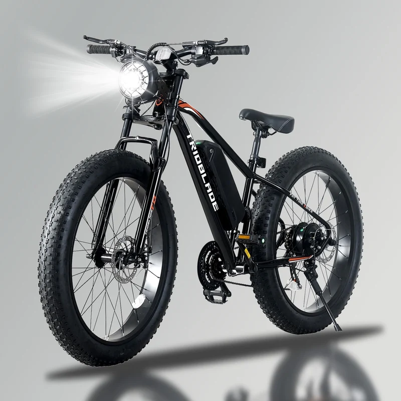 Electric Bike for Adults, Fat Tire Electric Mountain Bike with 250W Motor, 36V 10.4Ah Battery,