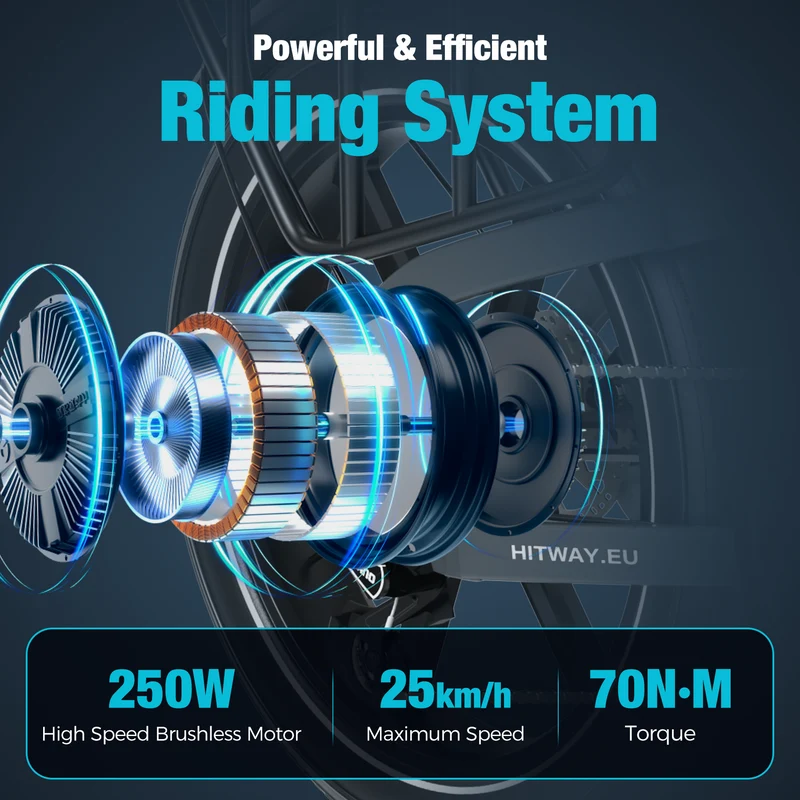 Foldable Electric Bike with 250W Motor, 48V Battery, Fat Tires, Dual Suspension