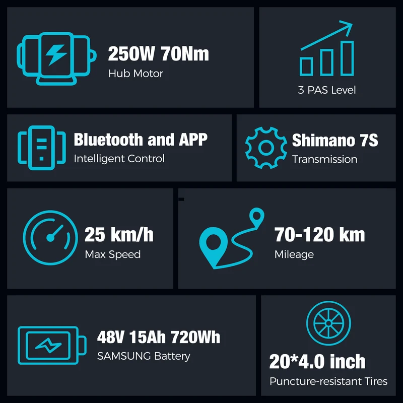 Foldable Electric Bike with 250W Motor, 48V Battery, Fat Tires, Dual Suspension